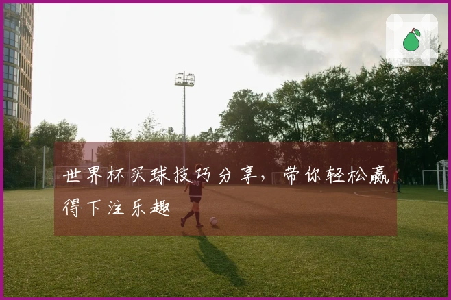 世界杯买球技巧分享，带你轻松赢得下注乐趣