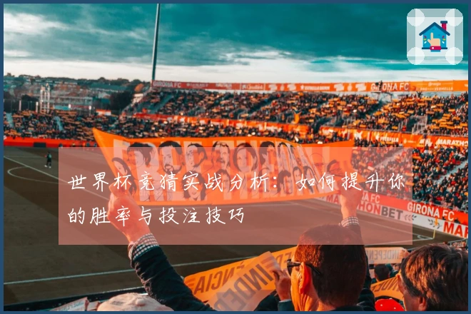 世界杯竞猜实战分析：如何提升你的胜率与投注技巧