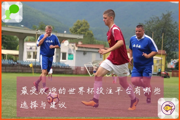 最受欢迎的世界杯投注平台有哪些选择与建议