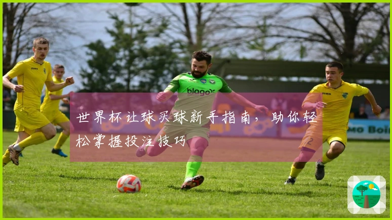 世界杯让球买球新手指南，助你轻松掌握投注技巧