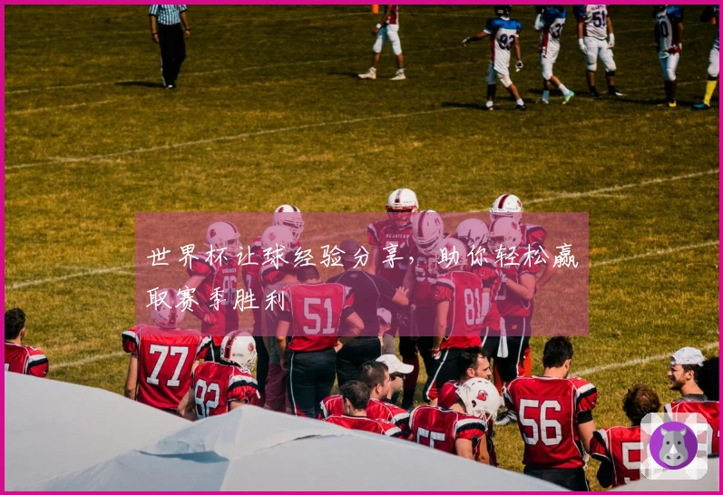 世界杯让球经验分享，助你轻松赢取赛季胜利