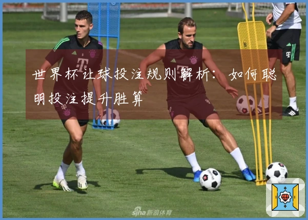 世界杯让球投注规则解析：如何聪明投注提升胜算
