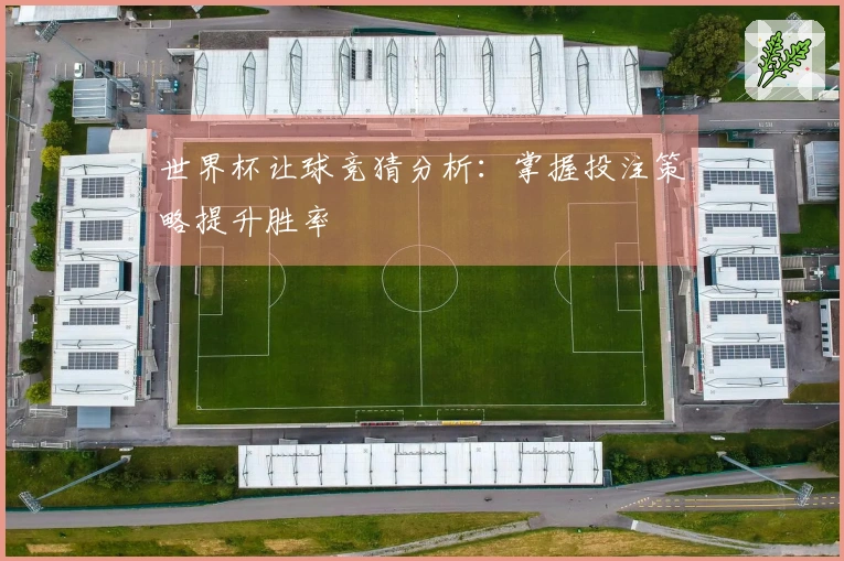 世界杯让球竞猜分析：掌握投注策略提升胜率