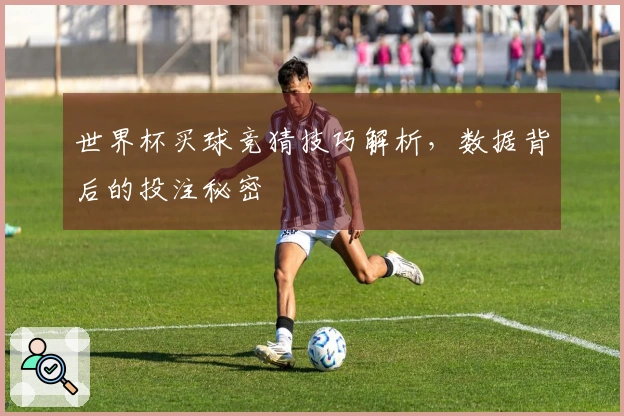 世界杯买球竞猜技巧解析,数据背后的投注秘密