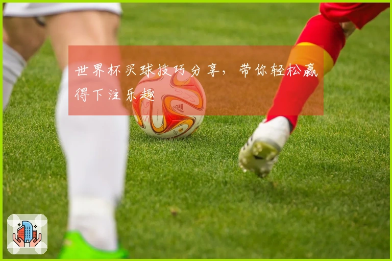 世界杯买球技巧分享，带你轻松赢得下注乐趣