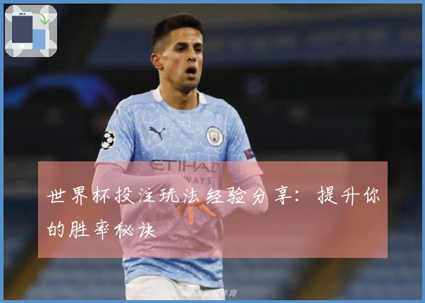 世界杯投注玩法经验分享：提升你的胜率秘诀